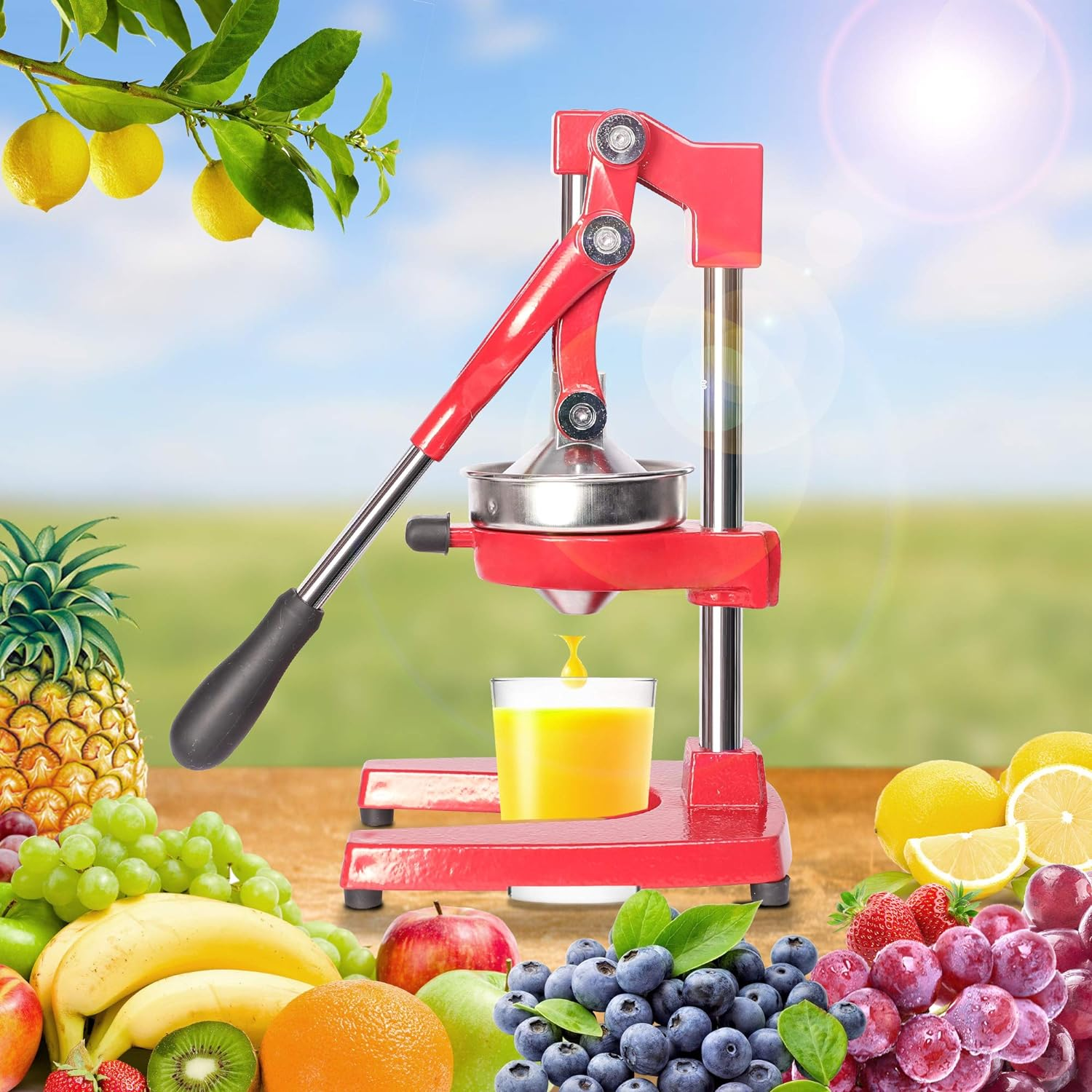 Manual Stainless Steel Citrus Juicer Squeezer with Cast Iron Base and Handle, Red